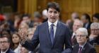 Bill S-201: Liberal Backbenchers Defy Trudeau To Approve Genetic Testing Bill