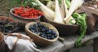 If you�re a European, your body requires more vegetables and grains