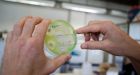 Canadian researchers discover new drug to fight antibiotic-resistant infections