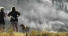 Forests now speed global warming