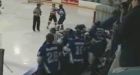 Maritime hockey league benches 14 after brawl