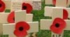 Canada's war dead total more than 100,000 across the world
