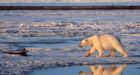Evidence of climate change 'unequivocal': UN report