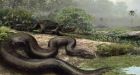Ancient, gargantuan snakes ate crocs for breakfast