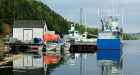MP wants an icebreaker on Newfoundland's northeast coast
