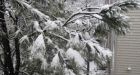 Storm targets Northeast after dumping snow on South