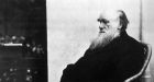 Four out of five Britons do not believe in creationism