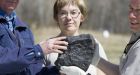Despite record-setting meteorite hunt, big chunks still missing