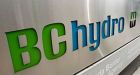 Windstorm knocks out power to 10,000 customers in B.C.