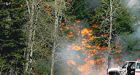 States of emergency in Strathcona and Sturgeon counties