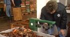 Lobster fishery seeks eco-friendly label