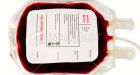 Ont. researchers uncover the mother of all blood cells