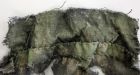 Franklin searchers find bones, artifacts but no ships