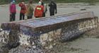 Invasive mussels land on B.C. coast with Japan tsunami boat