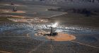The $2.2 Billion Bird-Scorching Solar Project