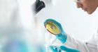 Scientists say penises grown in lab could be tested on humans within five years