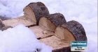 'It was right here:' Yukon cabin vanishes without a trace