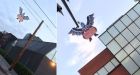Hillary Clinton Flying Monkey Signs Deface Brentwood Ahead of L.A. Fundraiser