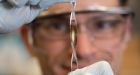 Copper is key in burning fat | University of California